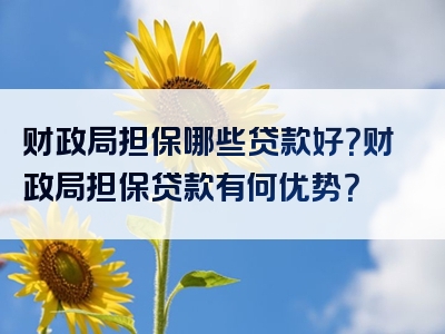 财政局担保哪些贷款好？财政局担保贷款有何优势？