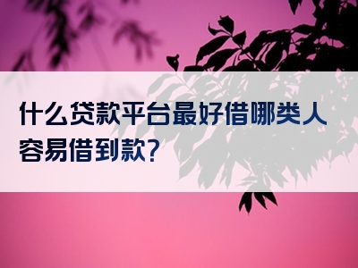 什么贷款平台最好借哪类人容易借到款？