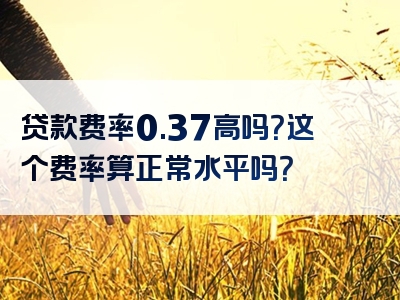 贷款费率0.37高吗？这个费率算正常水平吗？