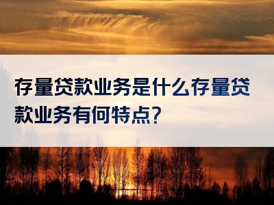 存量贷款业务是什么存量贷款业务有何特点？