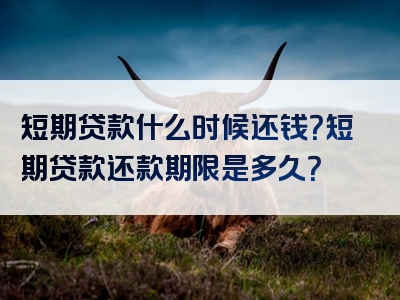 短期贷款什么时候还钱？短期贷款还款期限是多久？