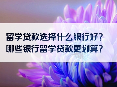 留学贷款选择什么银行好？哪些银行留学贷款更划算？