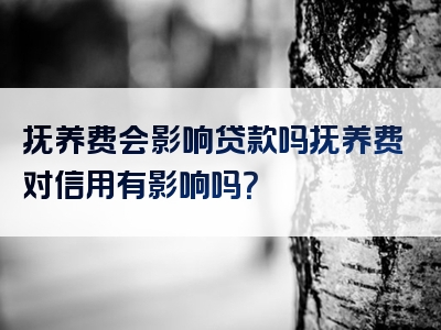 抚养费会影响贷款吗抚养费对信用有影响吗？