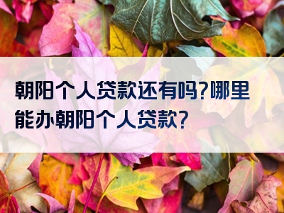 朝阳个人贷款还有吗？哪里能办朝阳个人贷款？