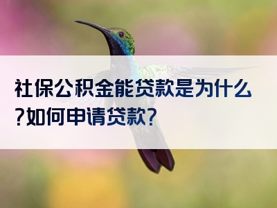 社保公积金能贷款是为什么？如何申请贷款？