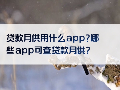 贷款月供用什么app？哪些app可查贷款月供？