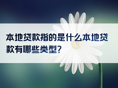 本地贷款指的是什么本地贷款有哪些类型？