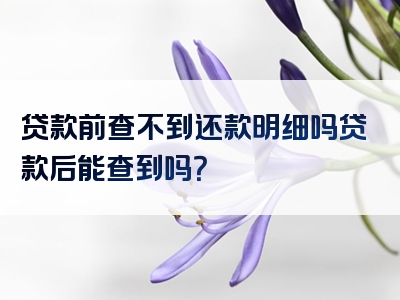 贷款前查不到还款明细吗贷款后能查到吗？