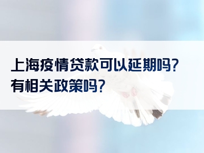 上海疫情贷款可以延期吗？有相关政策吗？