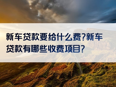 新车贷款要给什么费？新车贷款有哪些收费项目？