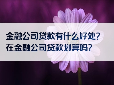 金融公司贷款有什么好处？在金融公司贷款划算吗？