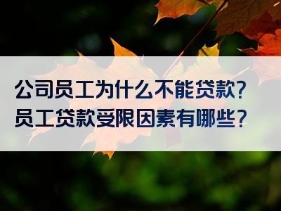 公司员工为什么不能贷款？员工贷款受限因素有哪些？