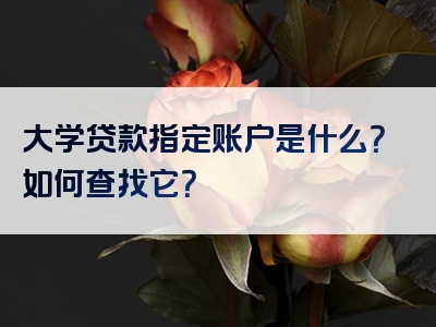 大学贷款指定账户是什么？如何查找它？