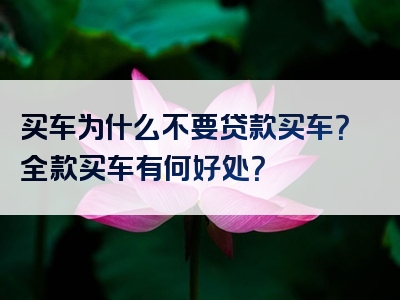 买车为什么不要贷款买车？全款买车有何好处？