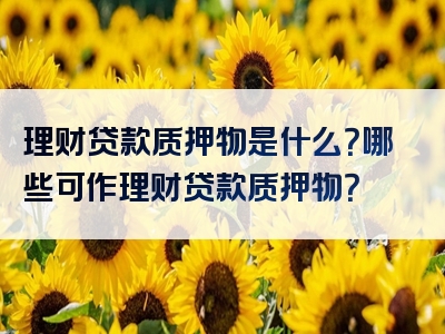 理财贷款质押物是什么？哪些可作理财贷款质押物？