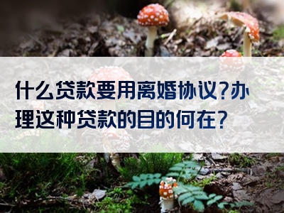 什么贷款要用离婚协议？办理这种贷款的目的何在？