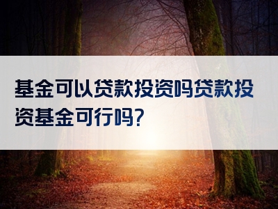 基金可以贷款投资吗贷款投资基金可行吗？