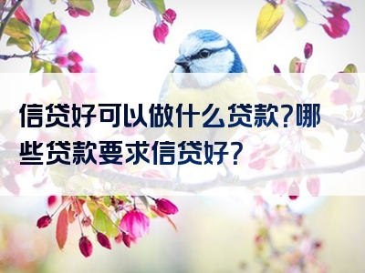 信贷好可以做什么贷款？哪些贷款要求信贷好？