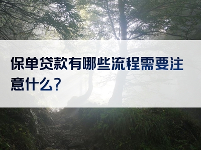 保单贷款有哪些流程需要注意什么？