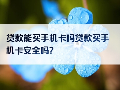 贷款能买手机卡吗贷款买手机卡安全吗？