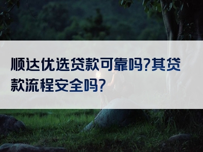 顺达优选贷款可靠吗？其贷款流程安全吗？