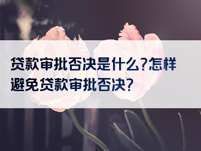 贷款审批否决是什么？怎样避免贷款审批否决？