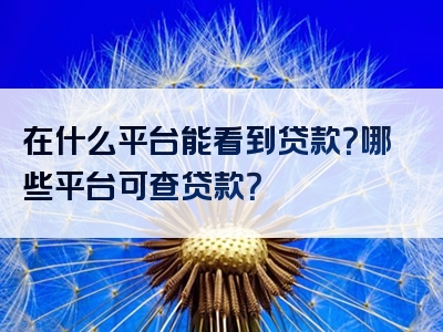 在什么平台能看到贷款？哪些平台可查贷款？