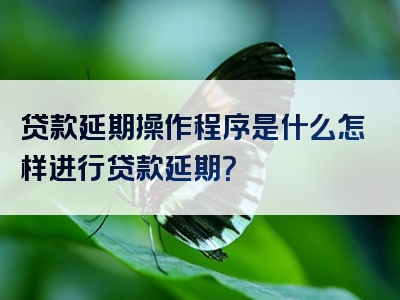 贷款延期操作程序是什么怎样进行贷款延期？