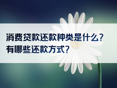 消费贷款还款种类是什么？有哪些还款方式？