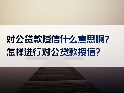 对公贷款授信什么意思啊？怎样进行对公贷款授信？