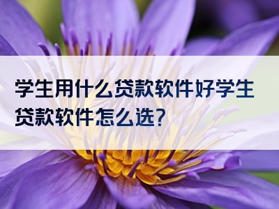 学生用什么贷款软件好学生贷款软件怎么选？