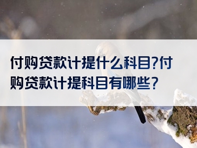 付购贷款计提什么科目？付购贷款计提科目有哪些？