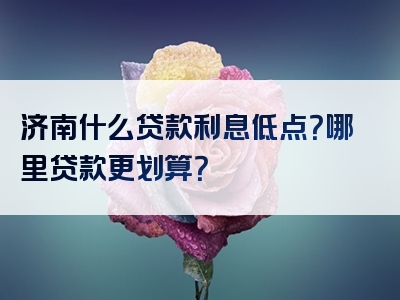 济南什么贷款利息低点？哪里贷款更划算？