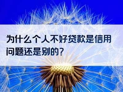 为什么个人不好贷款是信用问题还是别的？