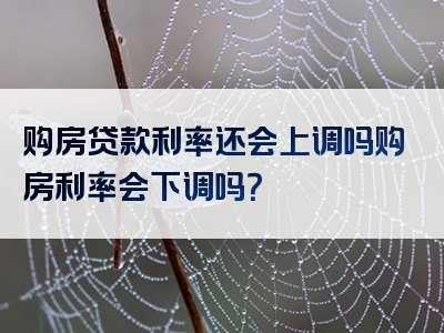 购房贷款利率还会上调吗购房利率会下调吗？