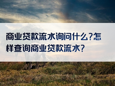 商业贷款流水询问什么？怎样查询商业贷款流水？