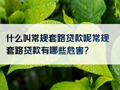 什么叫常规套路贷款呢常规套路贷款有哪些危害？