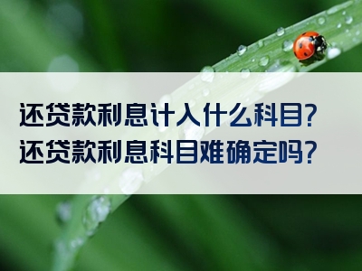 还贷款利息计入什么科目？还贷款利息科目难确定吗？