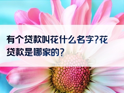 有个贷款叫花什么名字？花贷款是哪家的？