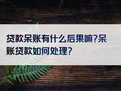 贷款呆账有什么后果嘛？呆账贷款如何处理？