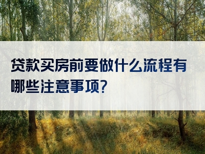 贷款买房前要做什么流程有哪些注意事项？