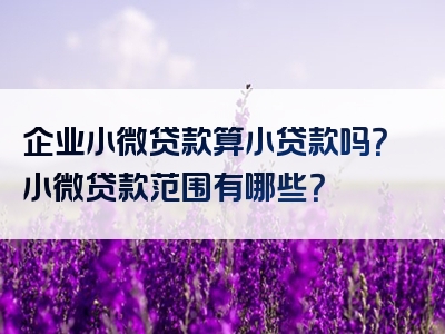 企业小微贷款算小贷款吗？小微贷款范围有哪些？