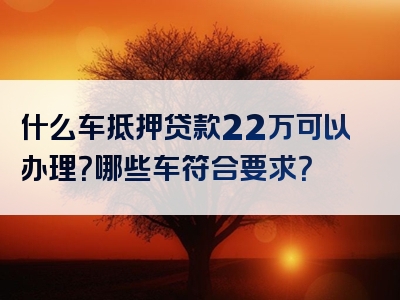 什么车抵押贷款22万可以办理？哪些车符合要求？