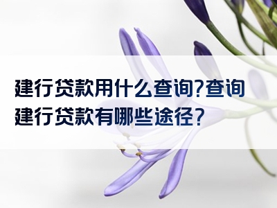 建行贷款用什么查询？查询建行贷款有哪些途径？