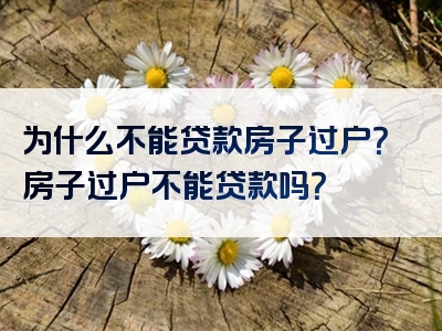 为什么不能贷款房子过户？房子过户不能贷款吗？