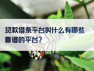 贷款借条平台叫什么有哪些靠谱的平台？