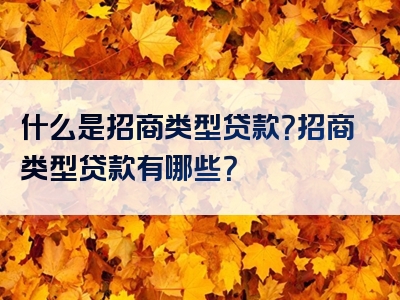 什么是招商类型贷款？招商类型贷款有哪些？