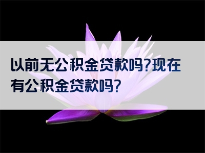 以前无公积金贷款吗？现在有公积金贷款吗？