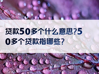 贷款50多个什么意思？50多个贷款指哪些？