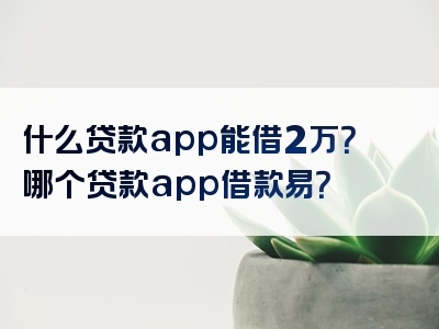 什么贷款app能借2万？哪个贷款app借款易？